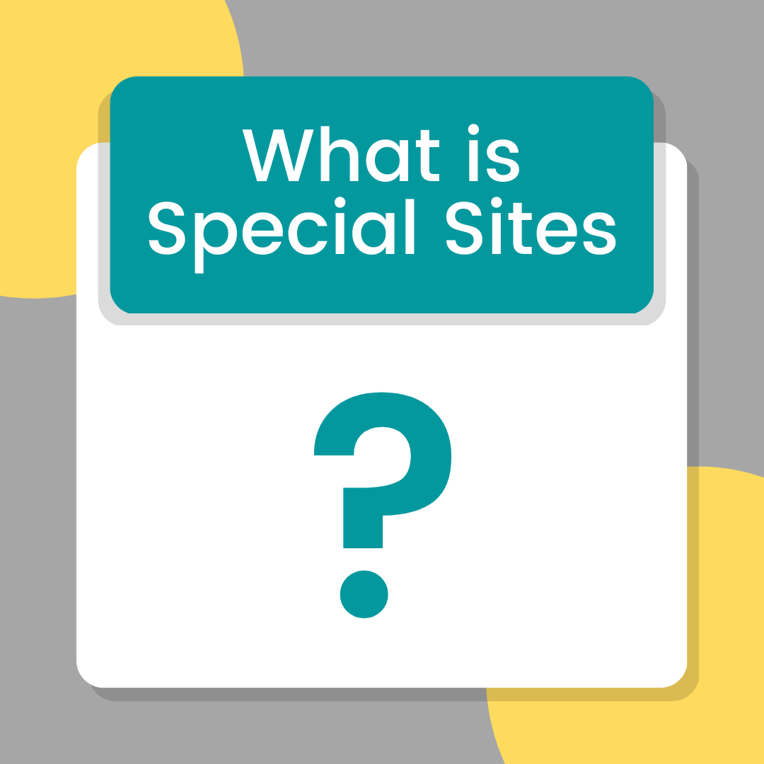What is Special Sites 12